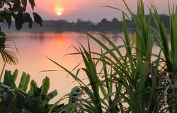 จอมนาง หมู่ที่ 2 ซอย 12, จุมพล, โพนพิสัย, หนองคาย, 43120 ประเทศไทย, โพนพิสัย, 