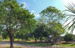 ซอย บ้านหัวเกาะ 4, สนามชัย, สุพรรณบุรี, 72000 ประเทศไทย, สุพรรณบุรี, 