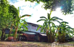 ซอย บ้านหัวเกาะ 4, สนามชัย, สุพรรณบุรี, 72000 ประเทศไทย, สุพรรณบุรี, 