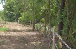 ทางหลวงชนบท พช. 3036, ตะกุดไร, ชนแดน, เพชรบูรณ์, 67190 ประเทศไทย, ชนแดน, 
