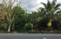 ทางหลวงชนบท รน. 4001, บางพระเหนือ, ละอุ่น, ระนอง, 85130 ประเทศไทย, ละอุ่น, 