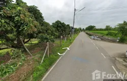 สะพาน, ศรีบังวัน ซอย 6, ประตูป่า, ลำพูน, 51000 ประเทศไทย, ลำพูน, 