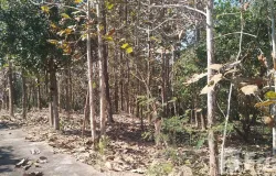 ธาราวดี คาเฟ่, บ่อเหล็กลอง, ลอง, แพร่, 54150 ประเทศไทย, ลอง, 