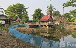 ไร่ พ่ายดาว, ทุ่งเสลี่ยม, สุโขทัย, 64150 ประเทศไทย, ทุ่งเสลี่ยม, 