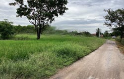 วัดตาลเดี่ยว, ตาลเดี่ยว, แก่งคอย, สระบุรี, 18110 ประเทศไทย, แก่งคอย, 