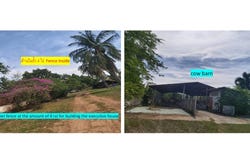 ลีฮง, ท่าบุญมี, เกาะจันทร์, ชลบุรี, 20240 ประเทศไทย, เกาะจันทร์, 