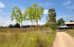 11, วังทอง, พิษณุโลก, 65130 ประเทศไทย, วังทอง, 