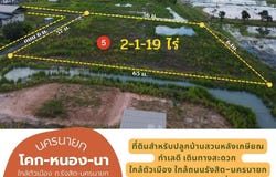 ซอย สามัคคีพัฒนา, พรหมณี, นครนายก, 26000 ประเทศไทย, นครนายก, 