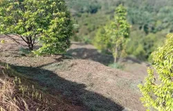 วัดช่องลม, บางแก้ว, ละอุ่น, ระนอง, 85130 ประเทศไทย, ละอุ่น, 