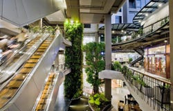 6 Sukhumvit 47, Khlong Tan Nuea, Vadhana, Bangkok, 10110 Thailand, Vadhana, 