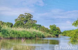 ซอย บ้านหัวเกาะ 4, สนามชัย, สุพรรณบุรี, 72000 ประเทศไทย, สุพรรณบุรี, 