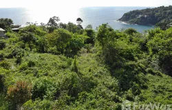 28/19 Yothathikan Phuket 2028 Rd, Kamala, Kathu, Phuket 83150, THA, Kamala, Phuket