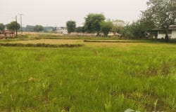 บึงโขงหลง, บึงกาฬ, 38220 ประเทศไทย, บึงโขงหลง, 