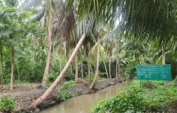 บ้านแสนอารีนา รีสอร์ท, บางขันแตก, สมุทรสงคราม, 75000 ประเทศไทย, สมุทรสงคราม, 
