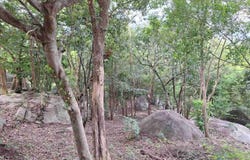 L2 Residence, Maret, Ko Samui, Surat Thani, 84310 Thailand, Ko Samui, 