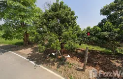 สะพาน, ศรีบังวัน ซอย 6, ประตูป่า, ลำพูน, 51000 ประเทศไทย, ลำพูน, 