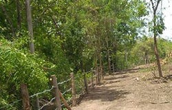 ทางหลวงชนบท พช. 3036, ตะกุดไร, ชนแดน, เพชรบูรณ์, 67190 ประเทศไทย, ชนแดน, 