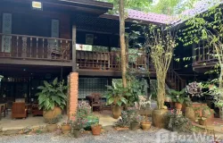 คังเซน, คลองเฉลิม, กงหรา, พัทลุง, 93180 ประเทศไทย, กงหรา, 