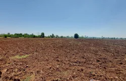 บ้านบุใหญ่ธารสำโรง, อำเภอเมืองนครสวรรค์, จังหวัดนครสวรรค์, ประเทศไทย, นครสวรรค์, 