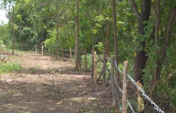 ทางหลวงชนบท พช. 3036, ตะกุดไร, ชนแดน, เพชรบูรณ์, 67190 ประเทศไทย, ชนแดน, 