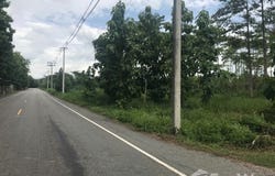 ทางหลวงชนบท ลพ. 3019, นครเจดีย์, ป่าซาง, ลำพูน, 51120 ประเทศไทย, ป่าซาง, 