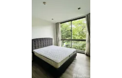 321 Soi Sam Thahan, Phra Khanong, Khlong Toei, Bangkok, 10110 Thailand, Khlong Toei, 