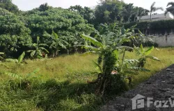 Highway 4027, Thep Krasattri, Thalang, Phuket 83110, THA, Thep Krasattri, Phuket