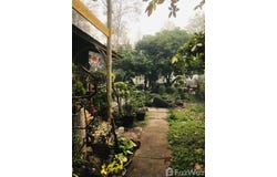 แม่ฮ่องสอน, 58000 ประเทศไทย, แม่ฮ่องสอน, 