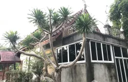หวันผาแป, ถนน รพช. พท. 3020, พญาขัน, พัทลุง, 93000 ประเทศไทย, พัทลุง, 