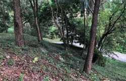 84330, Maenam, Ko Samui, Surat Thani, THA, Maenam, Surat Thani