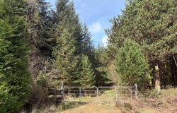 351 Acres of Forestry Land Gortaderra, County Clare, Scarriff, 