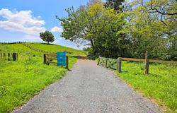Te Awamutu, Waipa