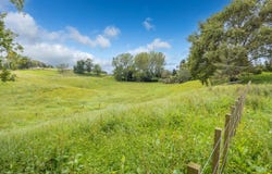 2 Pine Road, Lichfield, South Waikato
