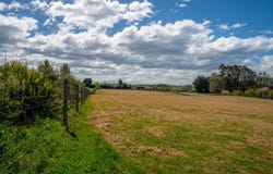 Timaru Central, Timaru
