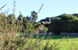 Brenda Gardner Way, Maunu, Whangarei