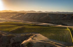 Seddon, Marlborough