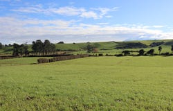 169 Rawhitiroa Road, Eltham, South Taranaki