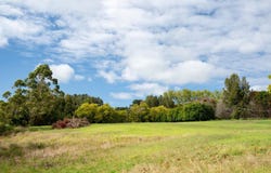 325 Sandspit Road, Warkworth, Rodney