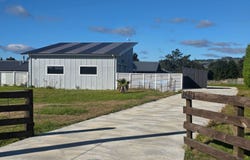 Riverlea Downs, Broadlands Forest, Taupo