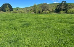Pirongia, Waipa