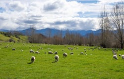 121 Win Valley Road, Dovedale, Tasman