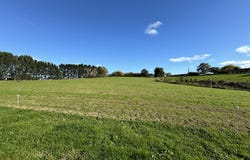 Levin, Horowhenua