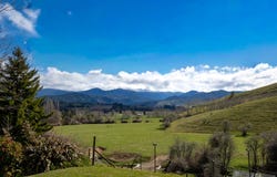 121 Win Valley Road, Dovedale, Tasman