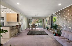 Judea, Tauranga