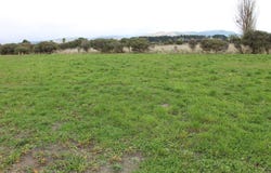3 Ranapiri Lane, Otaki, Kapiti Coast
