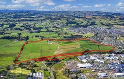 Pukekohe, Franklin