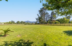 Te Aroha, Matamata-Piako