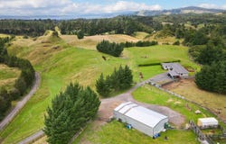 Ngongotaha, Rotorua