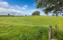 2 Pine Road, Lichfield, South Waikato