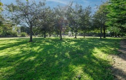 7 Ashburton Gorge Road, Mount Somers, Ashburton